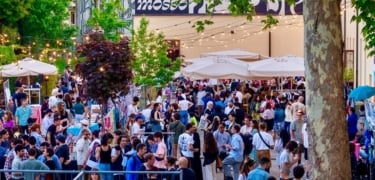 Camaleonte Market 2